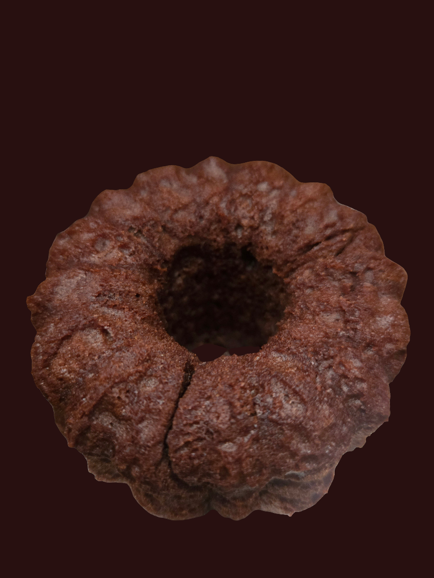 "The Lang Special" Hot Cocoa Cake